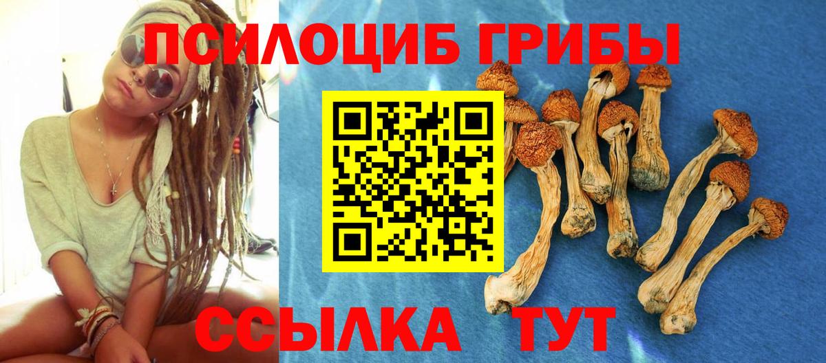Псилоцибиновые грибы прущие грибы Амурск